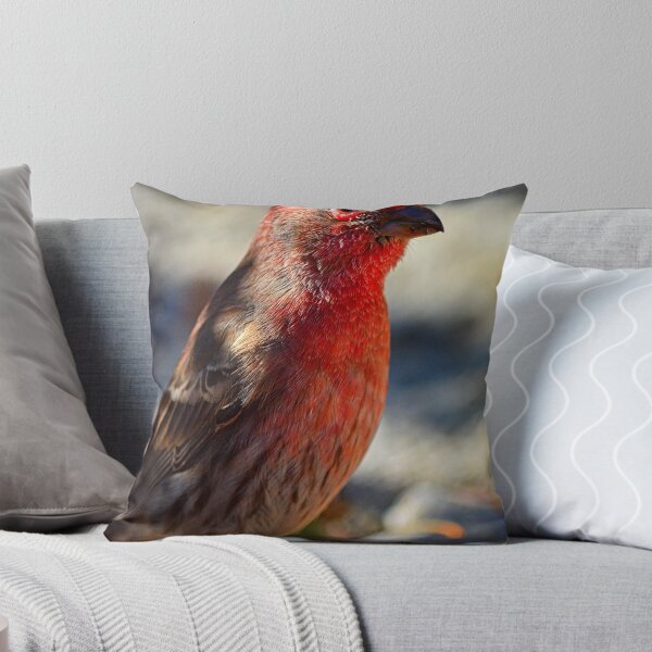 Item preview, House Finch Vertical designed and sold by LisaWootenPhoto.