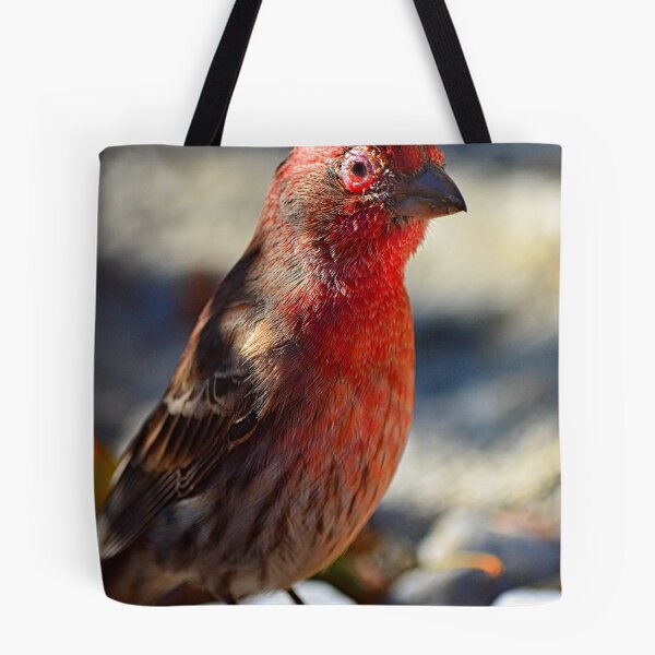 Item preview, House Finch Vertical designed and sold by LisaWootenPhoto.