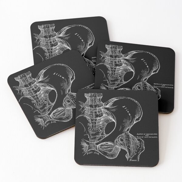 Item preview, Antique Human Anatomy Science Illustration - Male Pelvis, Hip Joint - White on Black designed and sold by Whatever, Maranda.