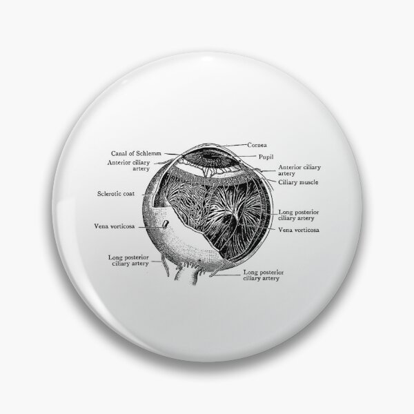 Item preview, Vintage Anatomy The Human Eye Eyeball designed and sold by AddlPoolart.