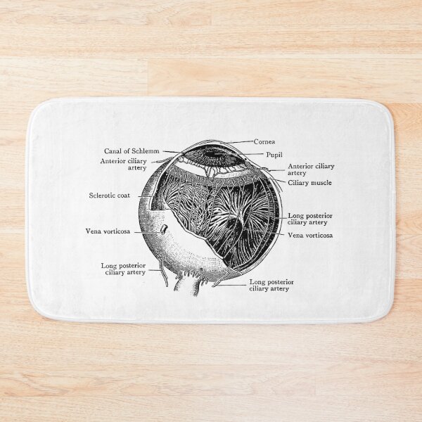 Item preview, Vintage Anatomy The Human Eye Eyeball designed and sold by AddlPoolart.