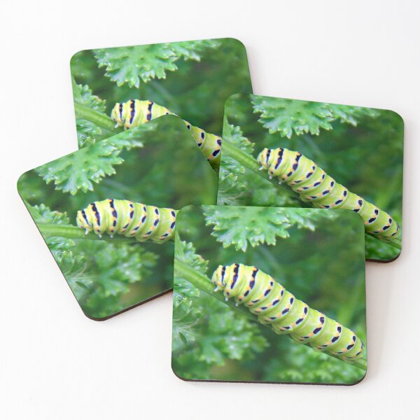 Item preview, Black Swallowtail Caterpillar designed and sold by heatherfriedman.