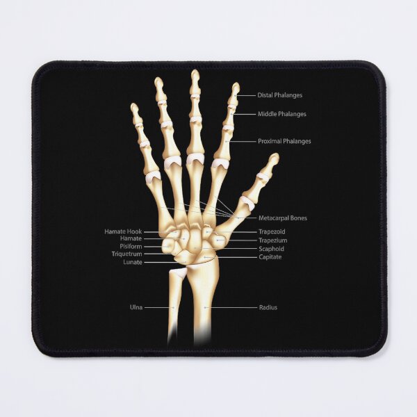 Item preview, Vintage Anatomy The Human hand Eyeball designed and sold by AddlPoolart.