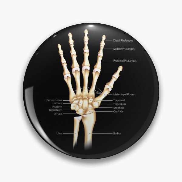 Item preview, Vintage Anatomy The Human hand Eyeball designed and sold by AddlPoolart.