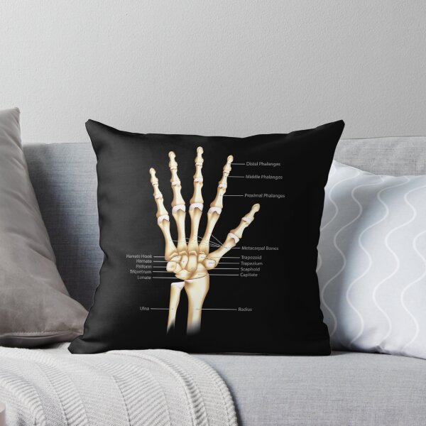 Item preview, Vintage Anatomy The Human hand Eyeball designed and sold by AddlPoolart.