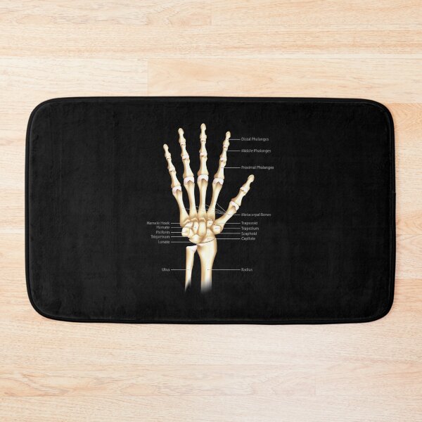 Item preview, Vintage Anatomy The Human hand Eyeball designed and sold by AddlPoolart.