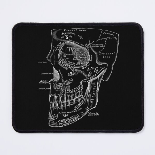 Item preview, Antique Human Anatomy Science Illustration - Skull Face Bones Old Medical Design - White on Black designed and sold by Whatever, Maranda.