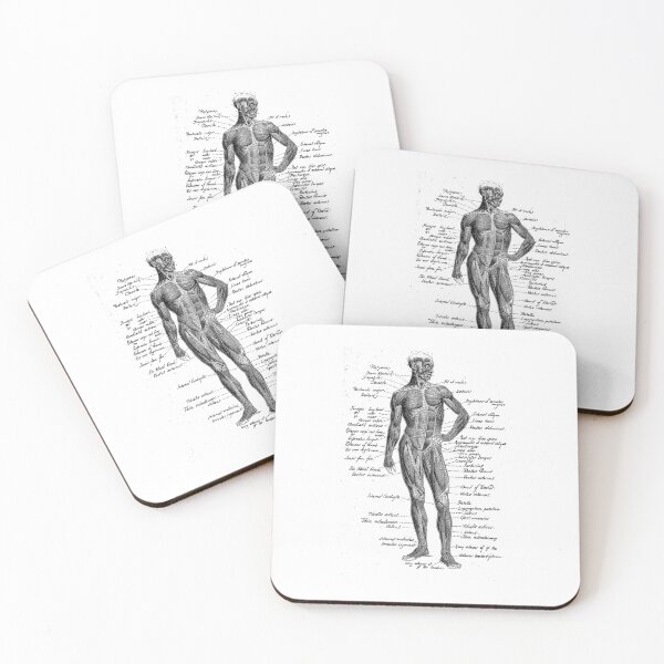 Item preview, Vintage Anatomy The Human  anatomy science designed and sold by AddlPoolart.