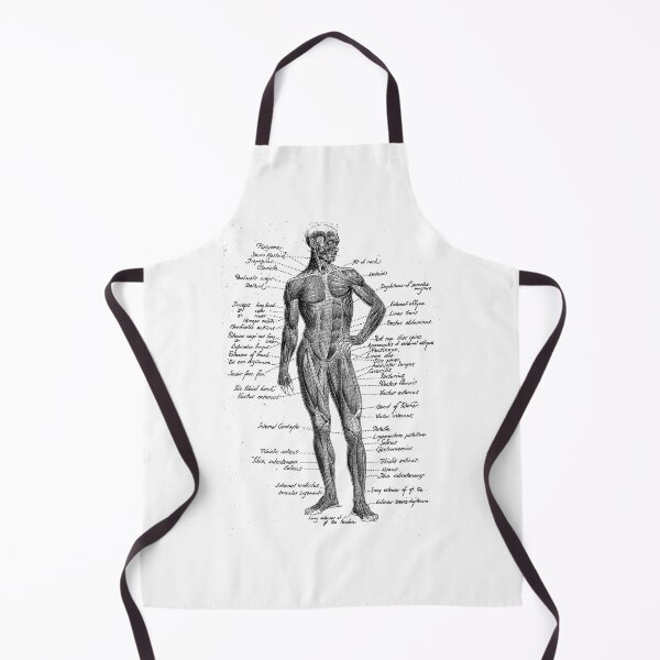 Item preview, Vintage Anatomy The Human  anatomy science designed and sold by AddlPoolart.