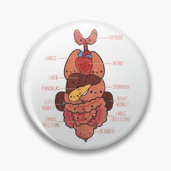Item preview, Vintage Anatomy The Human  anatomy science designed and sold by AddlPoolart.