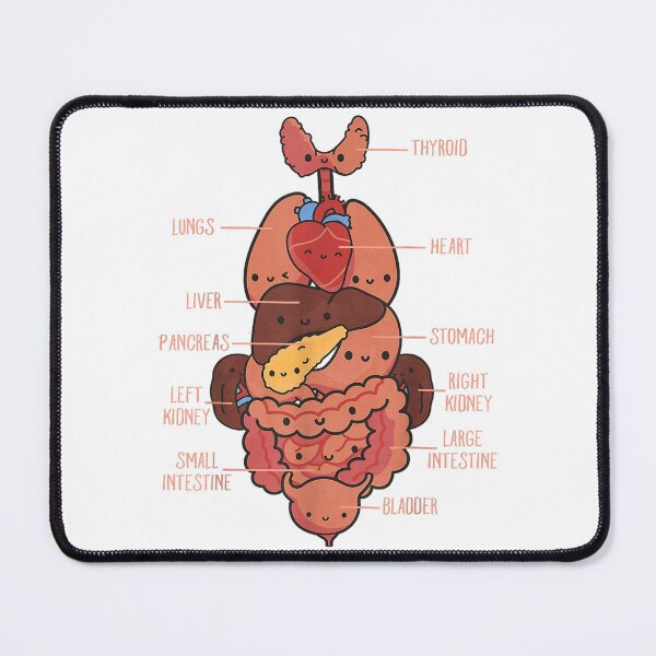 Item preview, Vintage Anatomy The Human  anatomy science designed and sold by AddlPoolart.