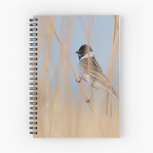 Item preview, Common Reed Bunting designed and sold by lyttonimages.