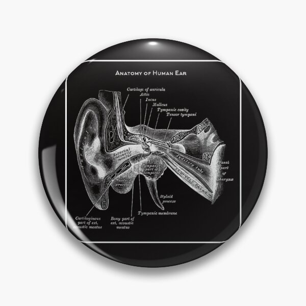 Item preview, Vintage Anatomy The Human ear anatomy science designed and sold by AddlPoolart.