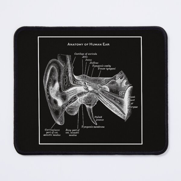 Item preview, Vintage Anatomy The Human ear anatomy science designed and sold by AddlPoolart.