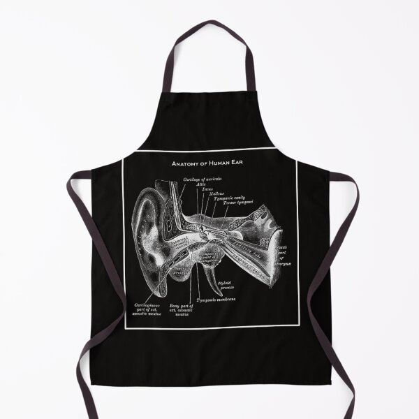 Item preview, Vintage Anatomy The Human ear anatomy science designed and sold by AddlPoolart.