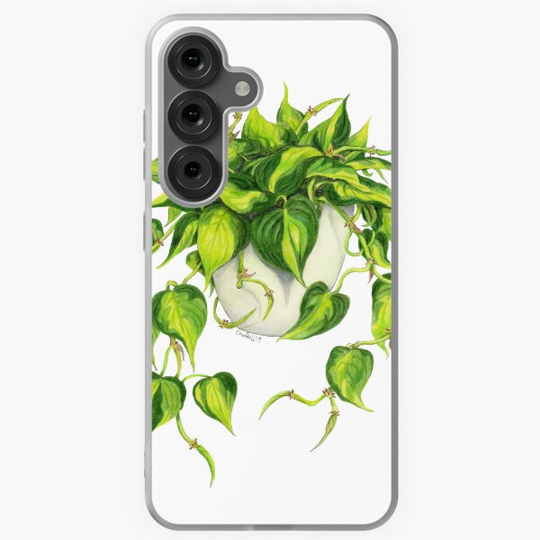 Item preview, Philodendron Brasil designed and sold by Wildlings and Endlings.