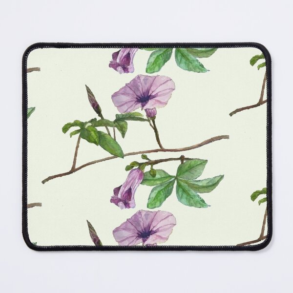 Item preview, Vietnam Botanical Plant Illustration 8 designed and sold by tuyetstudio.