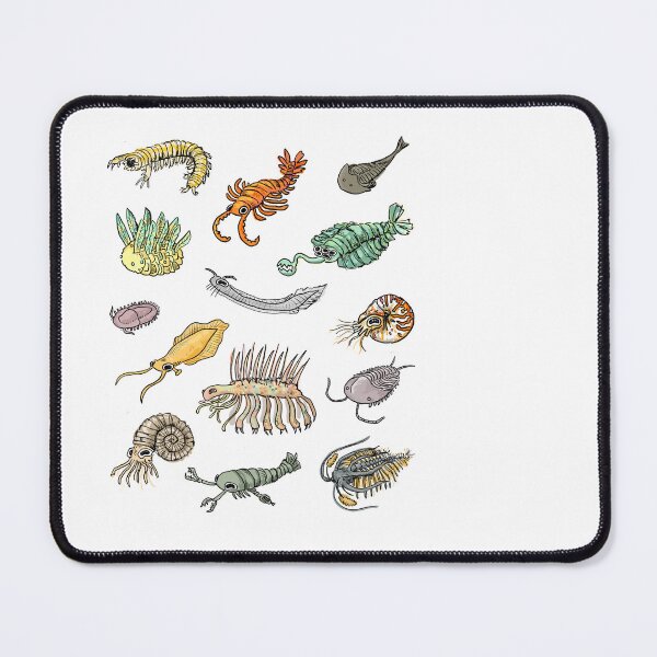 Item preview, cambrian era animals designed and sold by TeaBag114.