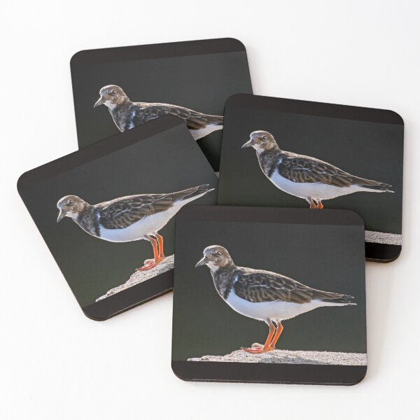 Item preview, Turnstone designed and sold by Tom McPherson Photography.