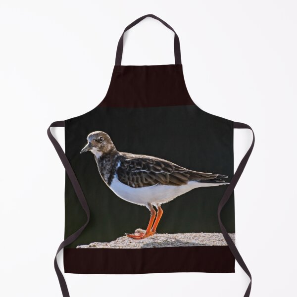 Item preview, Turnstone designed and sold by Tom McPherson Photography.