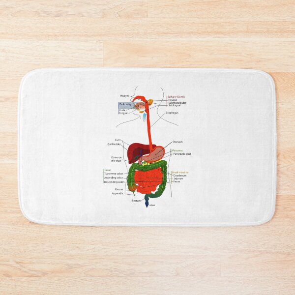Item preview, Vintage Anatomy The Human anatomy science, vintage anatomie designed and sold by AddlPoolart.