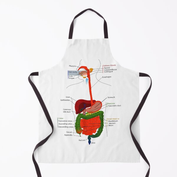 Item preview, Vintage Anatomy The Human anatomy science, vintage anatomie designed and sold by AddlPoolart.
