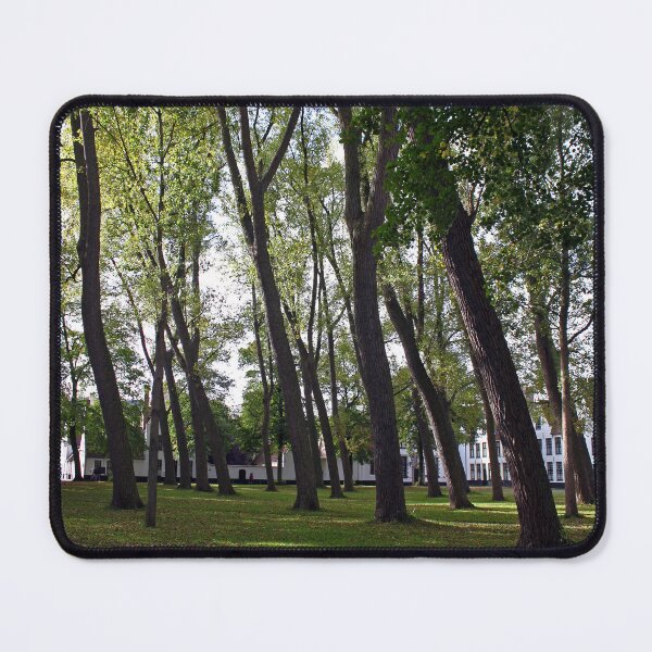 Item preview, Bruges Beguinage - Bruges, Belgium designed and sold by Photographic Memories.