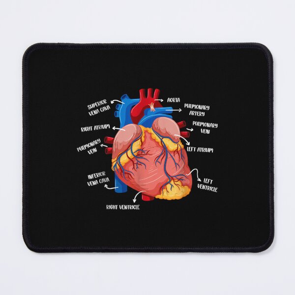 Item preview, Funny Vintage Anatomie Morphology The Human Anatomy Science designed and sold by AddlPoolart.