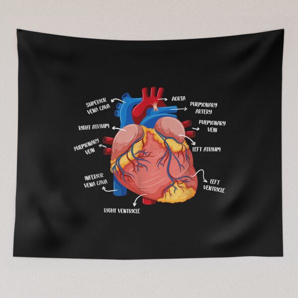 Item preview, Funny Vintage Anatomie Morphology The Human Anatomy Science designed and sold by AddlPoolart.