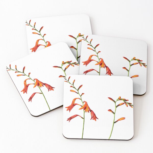 Item preview, Crocosmia flower orange set designed and sold by MatyKotiv.