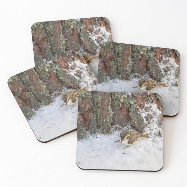 Item preview, On the ground. Eurasian treecreeper designed and sold by Jouko Lehto Photography.