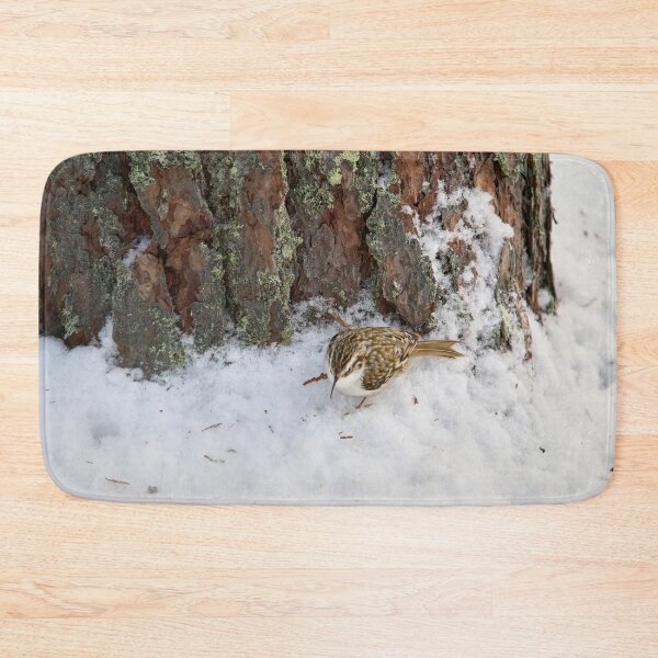 Item preview, On the ground. Eurasian treecreeper designed and sold by Jouko Lehto Photography.
