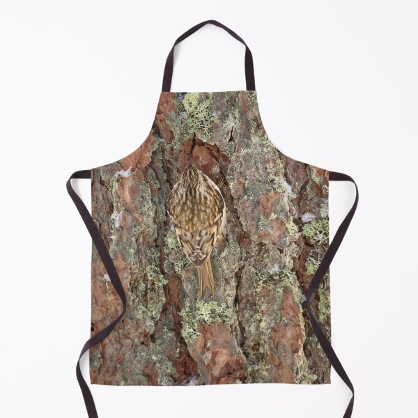 Item preview, Centered. Eurasian treecreeper designed and sold by Jouko Lehto Photography.