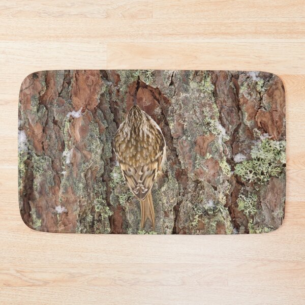 Item preview, Centered. Eurasian treecreeper designed and sold by Jouko Lehto Photography.