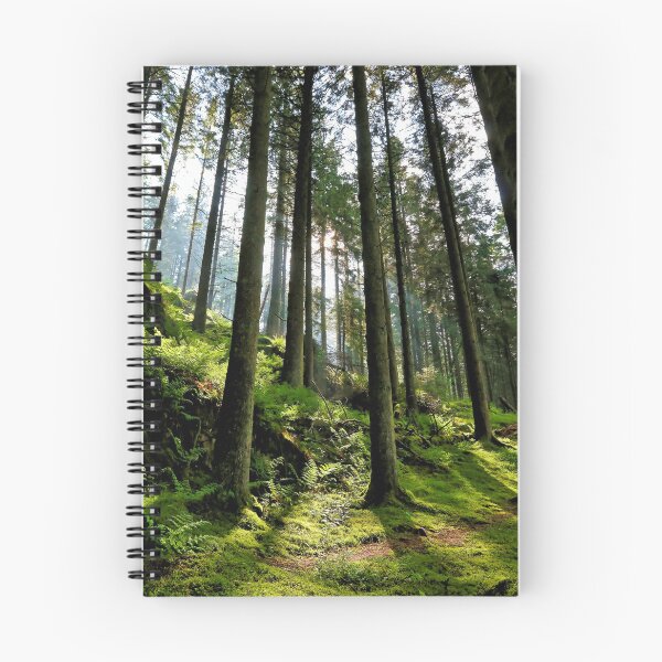 Item preview, The Forest designed and sold by ADM  Photography.