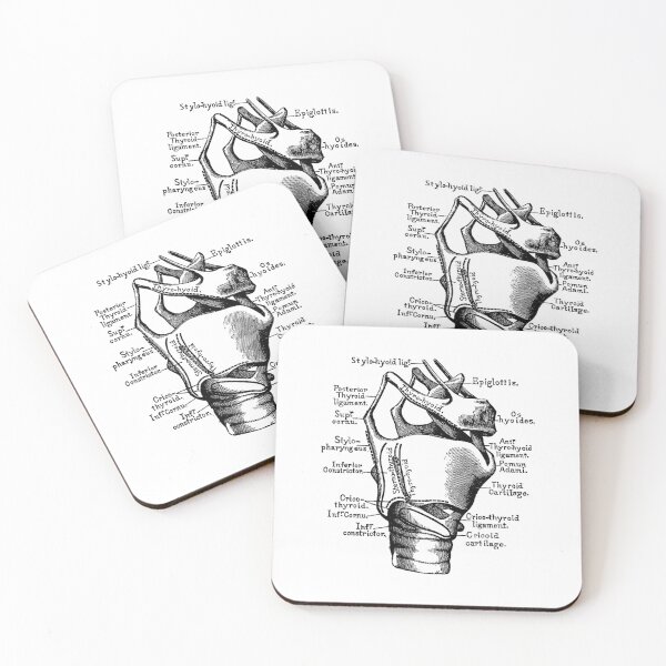 Item preview, Vintage Anatomy The human anatomy science, vintage anatomie designed and sold by AddlPoolart.