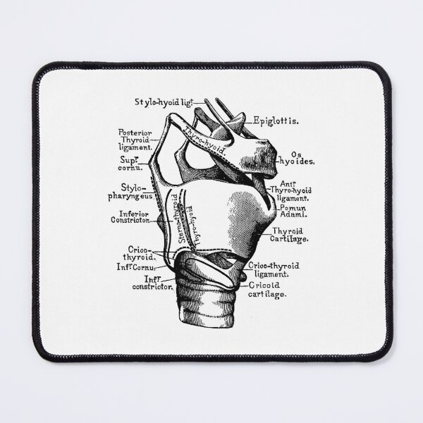 Item preview, Vintage Anatomy The human anatomy science, vintage anatomie designed and sold by AddlPoolart.