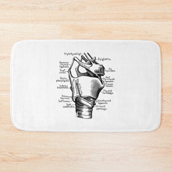 Item preview, Vintage Anatomy The human anatomy science, vintage anatomie designed and sold by AddlPoolart.