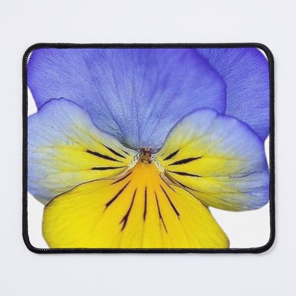 Item preview, Primrose designed and sold by di-Vera-Rosati.