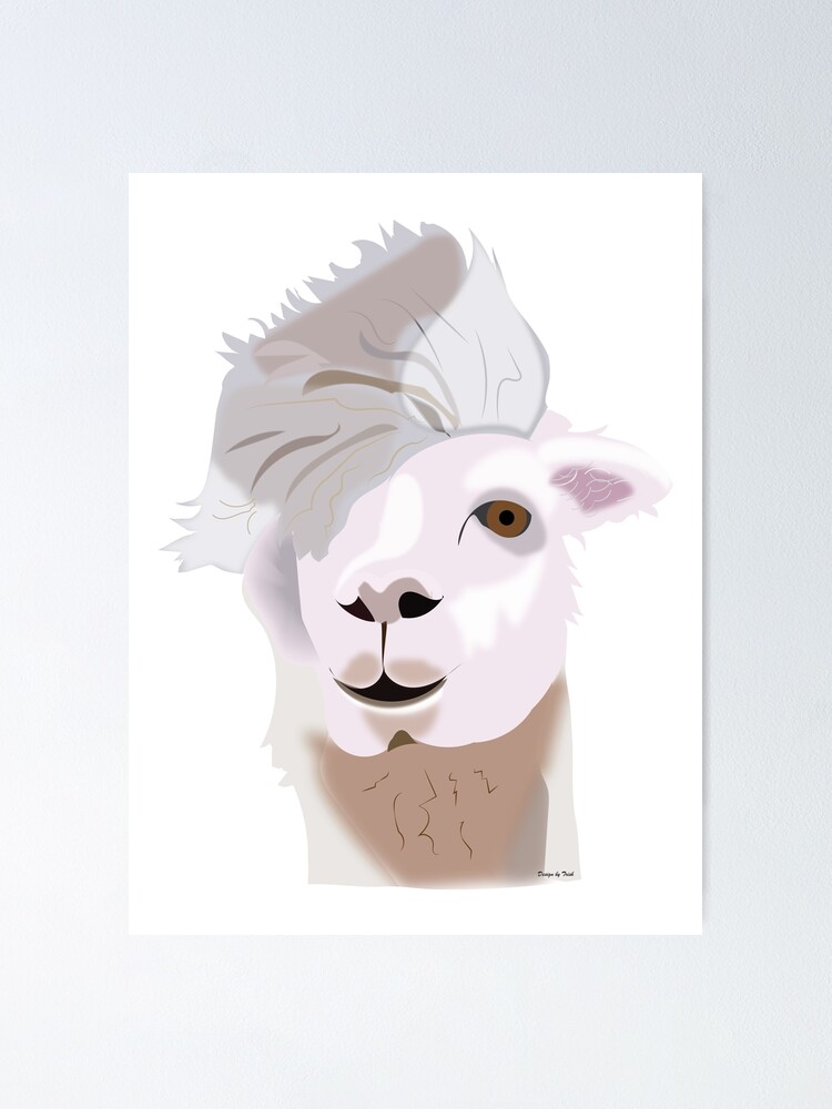 Lama with hair on one side Poster for Sale TrishCampbell | Redbubble