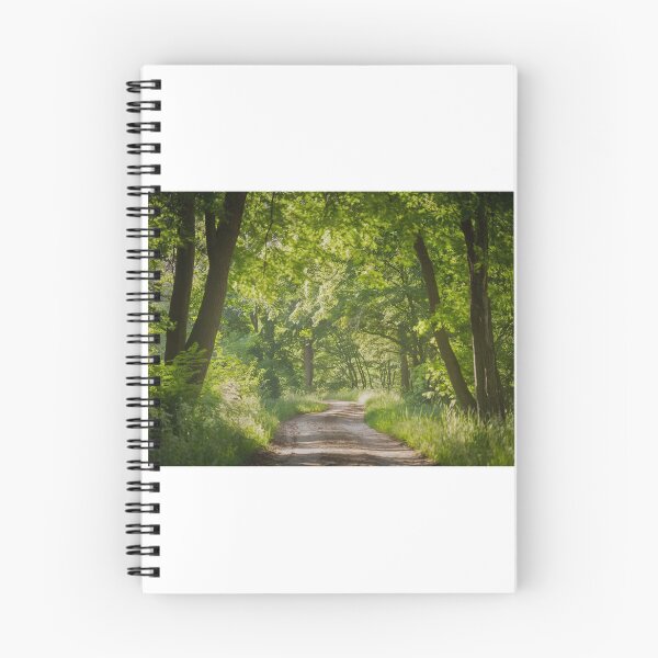 Item preview, Tall trees line the pathway designed and sold by ArtistrySky.