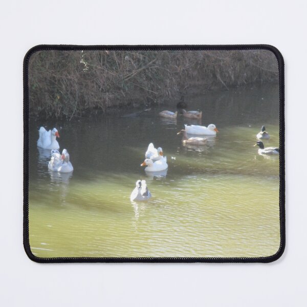 Item preview, Flock of Geese designed and sold by A01S04A.