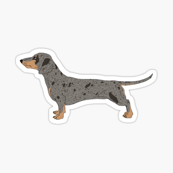 Item preview, Dachshund - Black Dapple designed and sold by Pawsome-Doodles.