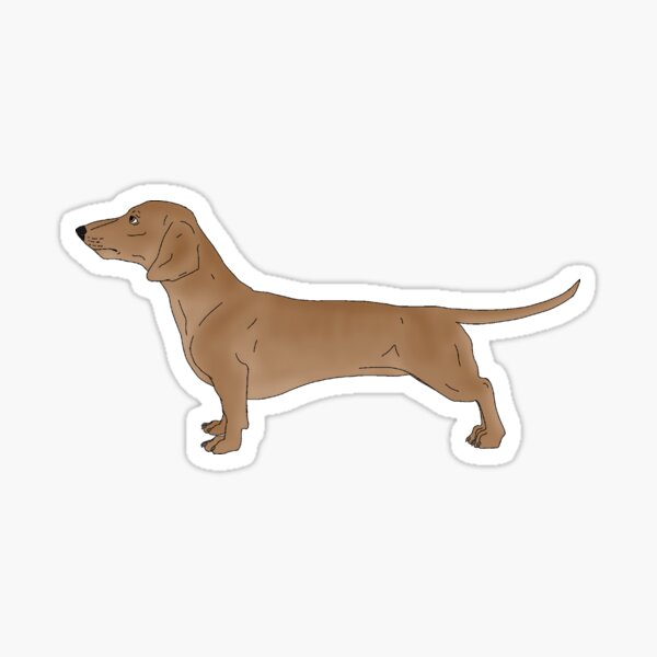 Item preview, Dachshund - Wheaten designed and sold by Pawsome-Doodles.