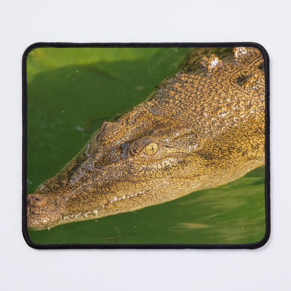 Item preview, Saltwater Crocodile designed and sold by robdwildlife.