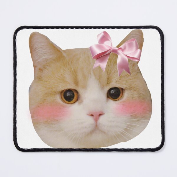 Item preview, Cute coquette cat with Lana del Ray coded quote meme designed and sold by Shadiyuu.