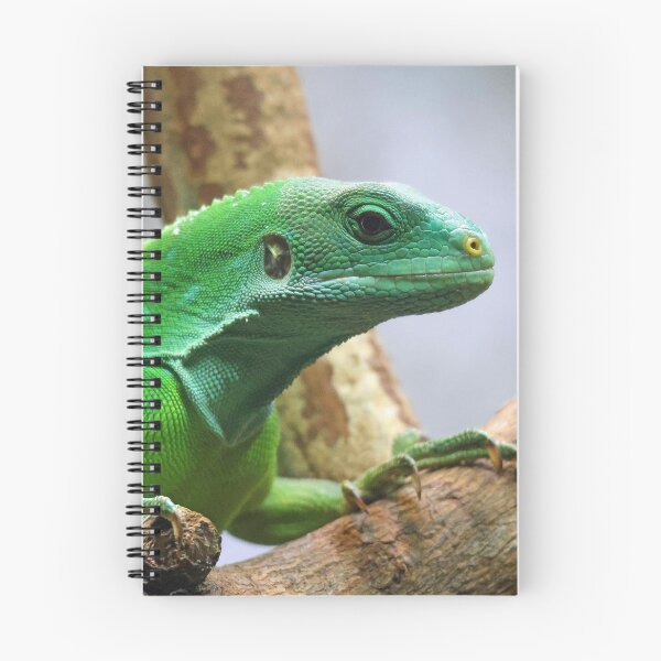 Item preview, Green Iguana designed and sold by LeanneAllen.