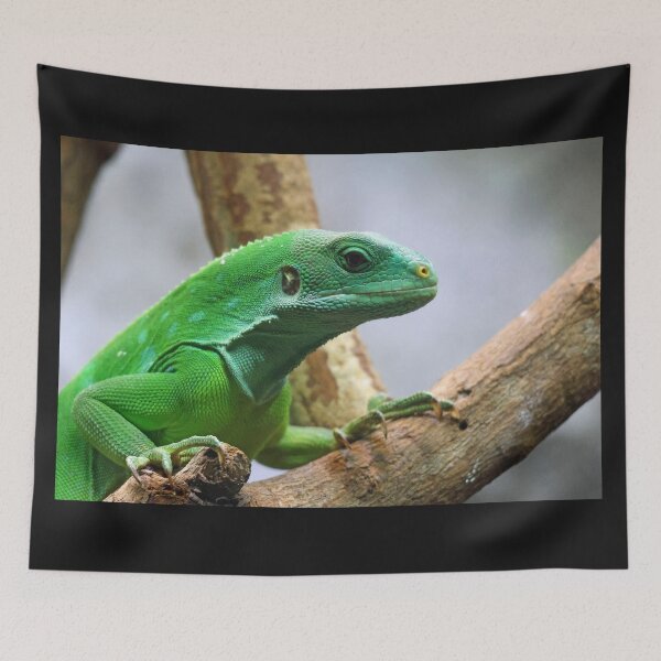 Item preview, Green Iguana designed and sold by LeanneAllen.