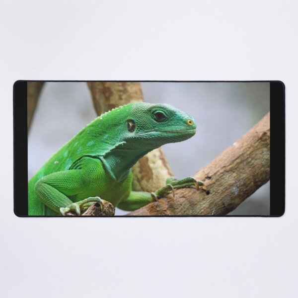 Item preview, Green Iguana designed and sold by LeanneAllen.