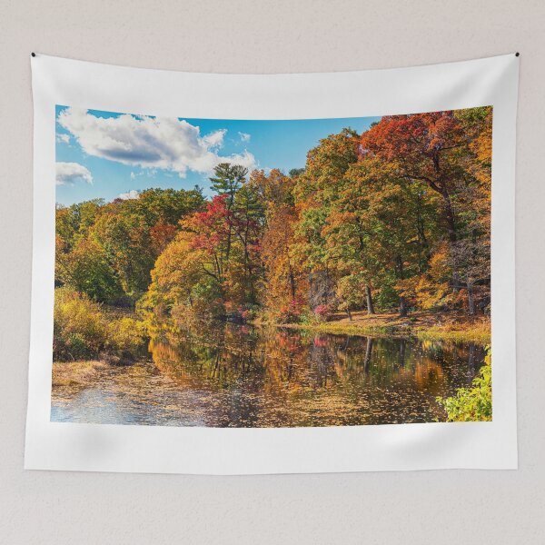 Item preview, Reflections designed and sold by liraneisenberg.